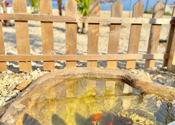 ホテル Blue Paradise オリクム